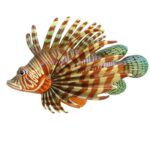 enoteca-il-barocco-pescescorpione