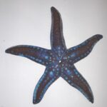 enotecailbarocco-stellabluviol@