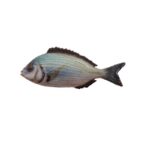 enotecailbarocco-tanuta-friscia